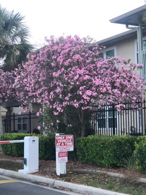 Apartament Happy Heron, Steps To Beach Panama City Beach Zewnętrze zdjęcie